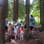 phoca_thumb_m_vp- 4. den  286 Fotogalerie